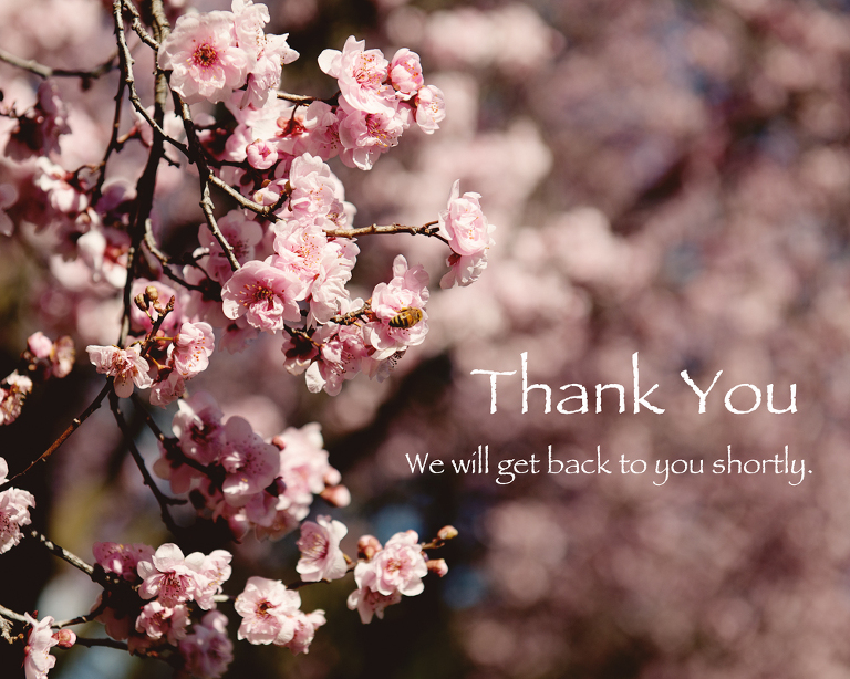 Thank You Note - Spring Fling Special